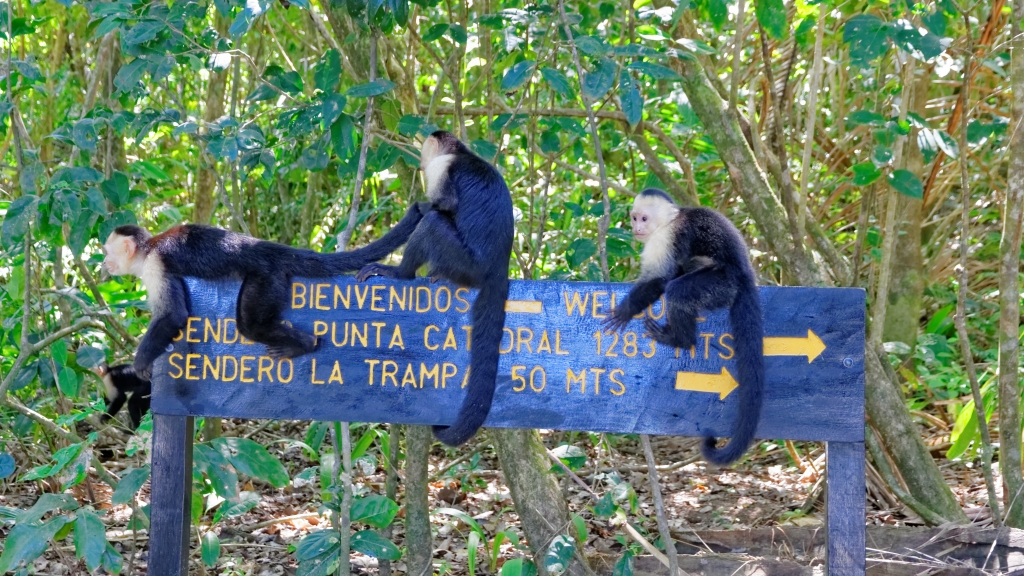 08 - Manuel Antonio NP (09).jpg